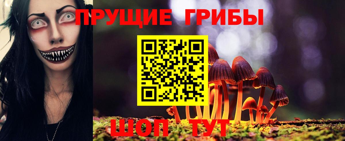 Псилоцибиновые грибы прущие грибы Сосновый Бор